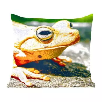 Декоративная подушка MuchoWow Диванная подушка Декоративная подушка для гостиной 60 x 60 см Желтая лягушка, сидящая на полу - Чехол на подушку - Хлопчатобумажная ткань - Декоративные наволочки