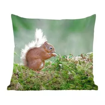 Декоративная подушка MuchoWow, диванная подушка, декоративная подушка для гостиной, 60 х 60 см, белка - лес - мох - чехол на подушку - хлопчатобумажная ткань - декоративные наволочки
