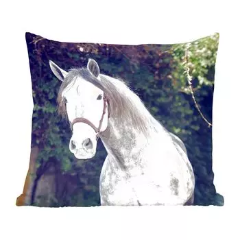 Декоративная подушка MuchoWow, диванная подушка, декоративная подушка для гостиной, 60 x 60 см, лошадь - недоуздок - натуральный - чехол на подушку - хлопчатобумажная ткань - декоративные наволочки