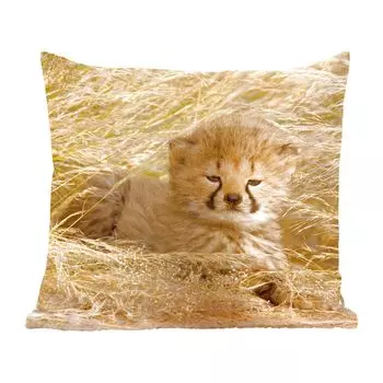 Декоративная подушка MuchoWow, диванная подушка, декоративная подушка для гостиной, 60 х 60 см, гепард - молодой - трава - чехол на подушку - хлопчатобумажная ткань - декоративные наволочки