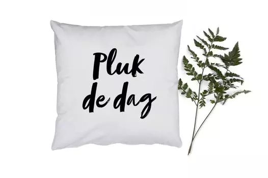 Декоративная подушка MuchoWow Диванная подушка Декоративная подушка для гостиной 60 x 60 см Carpe Diem - Текст - Лови день - Цитаты - Чехол на подушку - Хлопчатобумажная ткань - Декоративные наволочки