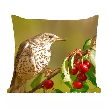 Декоративная подушка MuchoWow, диванная подушка, декоративная подушка для гостиной, 60 х 60 см, птица на ветке - чехол на подушку - хлопчатобумажная ткань - декоративные наволочки
