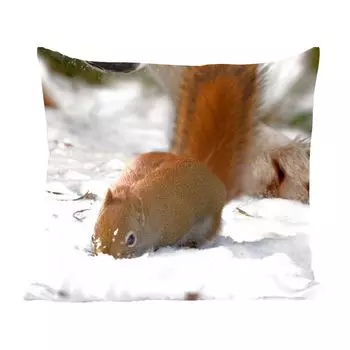 Декоративная подушка MuchoWow Диванная подушка Декоративная подушка для гостиной 45 x 45 см Белка - Волк - Снег - Зима - Чехлы на подушки - Декоративные чехлы на подушки - Декоративные чехлы на подушки