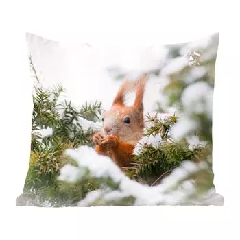 Декоративная подушка MuchoWow, диванная подушка, декоративная подушка для гостиной, 60 х 60 см, белка - сосна - снег - чехол на подушку - хлопчатобумажная ткань - декоративные наволочки