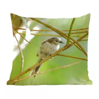 Декоративная подушка MuchoWow, диванная подушка, декоративная подушка для гостиной, 60 х 60 см, птица между ветками - чехол на подушку - хлопчатобумажная ткань - декоративные наволочки
