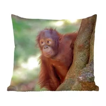 Декоративная подушка MuchoWow, диванная подушка, декоративная подушка для гостиной, 60 х 60 см, малыш - орангутанг - дерево - чехол на подушку - хлопчатобумажная ткань - декоративные наволочки