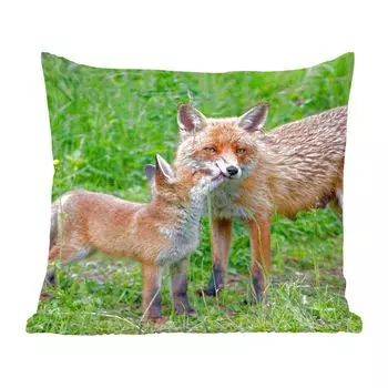 Декоративная подушка MuchoWow, диванная подушка, декоративная подушка для гостиной, 60 х 60 см, лисы - ребенок - трава - чехол на подушку - хлопчатобумажная ткань - декоративные наволочки