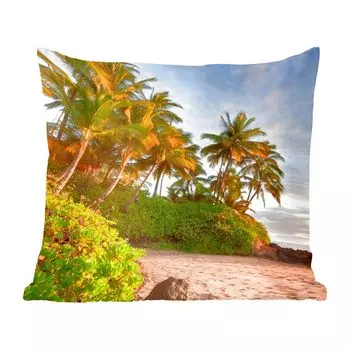 Декоративная подушка MuchoWow, диванная подушка, декоративная подушка для гостиной, 40 х 40 см, кривые пальмы на пляже американского острова Гавайи - чехлы для диванных подушек - без наполнителя