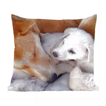 Декоративная подушка MuchoWow, диванная подушка, декоративная подушка для гостиной, 60 х 60 см, собака с белым щенком - чехол на подушку - хлопчатобумажная ткань - декоративные наволочки