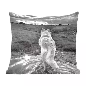 Декоративная подушка MuchoWow, диванная подушка, декоративная подушка для гостиной, 60 х 60 см, волк с видом на пейзаж в черно-белом цвете - чехол на подушку - хлопчатобумажная ткань - декоративные наволочки