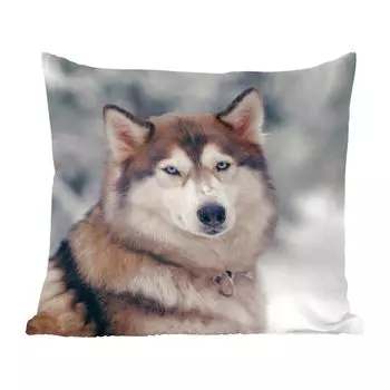 Декоративная подушка MuchoWow, диванная подушка, декоративная подушка для гостиной, 60 х 60 см, портрет хаски - чехол на подушку - хлопчатобумажная ткань - декоративные наволочки