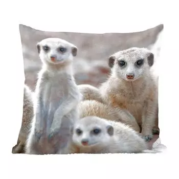 Декоративная подушка MuchoWow Диванная подушка Декоративная подушка для гостиной 60 x 60 см Любопытные сурикаты - Чехол на подушку - Хлопчатобумажная ткань - Декоративные наволочки