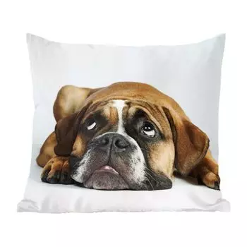 Декоративная подушка MuchoWow, диванная подушка, декоративная подушка для гостиной, 60 х 60 см, собака, домашние животные, белый, чехол на подушку, хлопчатобумажная ткань, декоративные чехлы на подушки