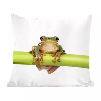 Декоративная подушка MuchoWow, диванная подушка, декоративная подушка для гостиной, 60 х 60 см, лягушка, бамбук, белый, чехол на подушку, хлопчатобумажная ткань, декоративные чехлы на подушки