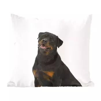 Декоративная подушка MuchoWow, диванная подушка, декоративная подушка для гостиной, 60 х 60 см, Ротвейлер на белом фоне - чехол на подушку - хлопчатобумажная ткань - декоративные наволочки