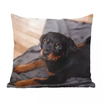 Декоративная подушка MuchoWow Диванная подушка Декоративная подушка для гостиной 60 x 60 см Щенок ротвейлера на черном ковре - Чехол на подушку - Хлопчатобумажная ткань - Декоративные наволочки