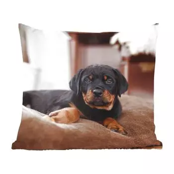 Декоративная подушка MuchoWow, диванная подушка, декоративная подушка для гостиной, 60 х 60 см, щенок ротвейлера лежит на мягкой подушке - чехол на подушку - хлопчатобумажная ткань - декоративные наволочки