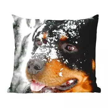 Декоративная подушка MuchoWow, диванная подушка, декоративная подушка для гостиной, 40 х 40 см, красивый ротвейлер в снегу - чехлы для диванных подушек - без наполнителя