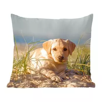Декоративная подушка MuchoWow Диванная подушка Декоративная подушка для гостиной 60 x 60 см Щенок лабрадора-ретривера лежит на песчаных дюнах - Чехол на подушку - Хлопчатобумажная ткань - Декоративные наволочки