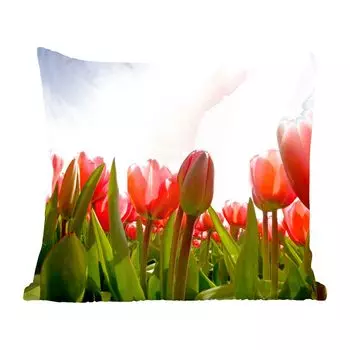 Декоративная подушка MuchoWow, диванная подушка, декоративная подушка для гостиной, 60 х 60 см, красные тюльпаны и солнечный свет - чехол на подушку - хлопчатобумажная ткань - декоративные наволочки