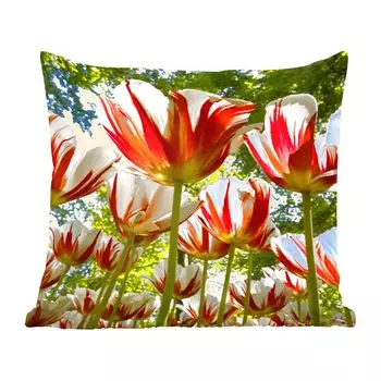 Декоративная подушка MuchoWow, диванная подушка, декоративная подушка для гостиной, 60 х 60 см, сад с красными и белыми тюльпанами - чехол на подушку - хлопчатобумажная ткань - декоративные наволочки