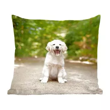 Декоративная подушка MuchoWow Диванная подушка Декоративная подушка для гостиной 60 x 60 см Щенок лабрадора-ретривера сидит на лесной тропинке - Чехол на подушку - Хлопковая ткань - Декоративные наволочки