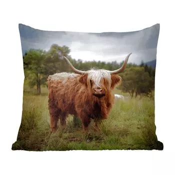 Декоративная подушка MuchoWow Диванная подушка Декоративная подушка для гостиной 60 x 60 см Шотландский горец - Животные - Корова - Чехлы на подушки - Хлопчатобумажная ткань - Декоративные наволочки