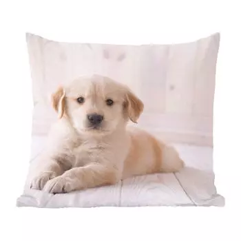 Декоративная подушка MuchoWow Диванная подушка Декоративная подушка для гостиной 60 x 60 см Белый щенок золотистого ретривера - Чехол на подушку - Хлопчатобумажная ткань - Декоративные наволочки