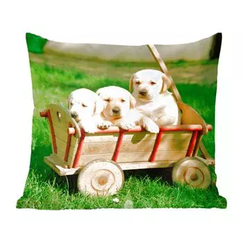 Декоративная подушка MuchoWow Диванная подушка Декоративная подушка для гостиной 60 x 60 см Три очаровательных щенка золотистого ретривера в коляске - Чехол на подушку - Хлопчатобумажная ткань - Декоративные наволочки