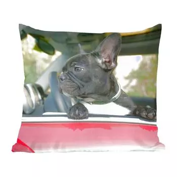 Декоративная подушка MuchoWow Диванная подушка Декоративная подушка для гостиной 60 x 60 см Французский бульдог - Автомобиль - Красный - Чехол на подушку - Хлопчатобумажная ткань - Декоративные наволочки