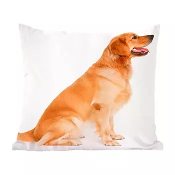 Декоративная подушка MuchoWow, диванная подушка, декоративная подушка для гостиной, 60 х 60 см, вид сбоку сидящего золотистого ретривера - чехол на подушку - хлопчатобумажная ткань - декоративные наволочки