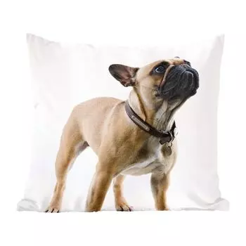 Декоративная подушка MuchoWow Диванная подушка Декоративная подушка для гостиной 60 x 60 см Французский бульдог - Воротник - Коричневый - Чехол на подушку - Хлопчатобумажная ткань - Декоративные наволочки