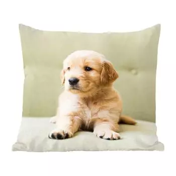Декоративная подушка MuchoWow Диванная подушка Декоративная подушка для гостиной 45 x 45 см Щенок золотистого ретривера лежит на диване - Чехлы на подушки - Декоративные чехлы на подушки - Декоративные наволочки