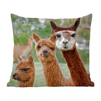 Декоративная подушка MuchoWow, диванная подушка, декоративная подушка для гостиной, 60 х 60 см, альпака, животное, коричневый, чехол на подушку, хлопчатобумажная ткань, декоративные чехлы на подушки