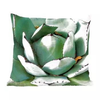 Декоративная подушка MuchoWow, диванная подушка, декоративная подушка для гостиной, 50 х 50 см, деталь мятно-зеленого кактуса - чехлы на подушки - украшение - спальня