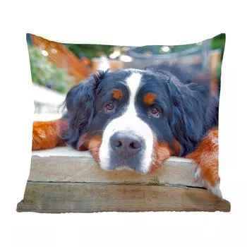 Декоративная подушка MuchoWow, диванная подушка, декоративная подушка для гостиной, 60 x 60 см, Шейди Бернский зенненхунд - чехол на подушку - хлопчатобумажная ткань - декоративные наволочки