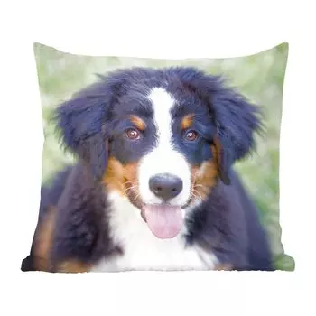 Декоративная подушка MuchoWow, диванная подушка, декоративная подушка для гостиной, 60 х 60 см, Бернский зенненхунд на зеленом лугу - чехол на подушку - хлопчатобумажная ткань - декоративные наволочки