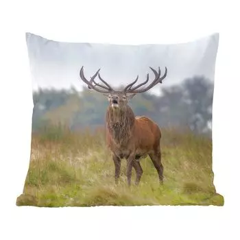 Декоративная подушка MuchoWow, диванная подушка, декоративная подушка для гостиной, 60 х 60 см, олень, рога, трава, чехол на подушку, хлопковая ткань, декоративные чехлы на подушки