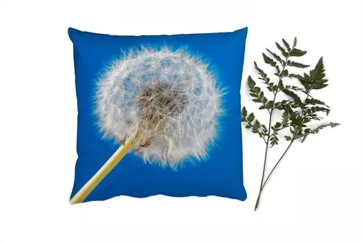 Декоративная подушка MuchoWow, диванная подушка, декоративная подушка для гостиной, 60 х 60 см, одуванчик - цветок - терраса - чехол на подушку - хлопчатобумажная ткань - декоративные наволочки