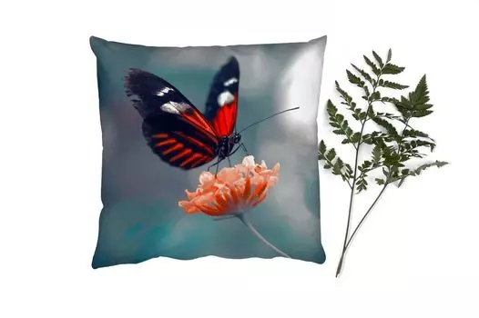 Декоративная подушка MuchoWow Диванная подушка Декоративная подушка для гостиной 60 x 60 см Бабочка - Цветок - Насекомое - Наволочка - Хлопчатобумажная ткань - Декоративные наволочки