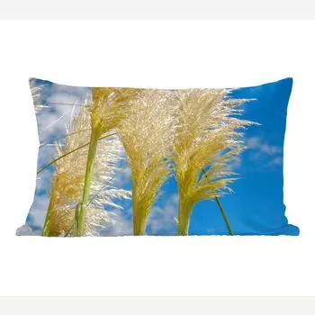 Декоративная подушка MuchoWow Диванная подушка Декоративная подушка для гостиной 60 x 40 см Растения - Пампасная трава - Воздух - Чехлы для подушек - Декоративные чехлы для подушек - Декоративные чехлы для подушек