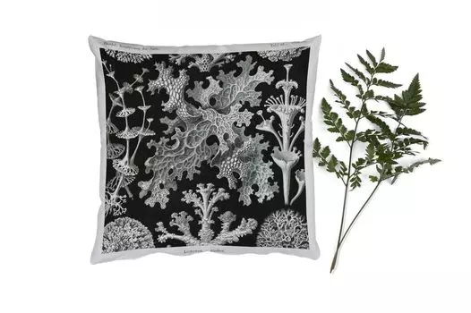 Декоративная подушка MuchoWow Диванная подушка Декоративная подушка для гостиной 60 x 60 см Мох - Ботанический - Винтаж - Черно-белый - Иллюстрация гриба - Чехол на подушку - Хлопчатобумажная ткань - Декоративные наволочки