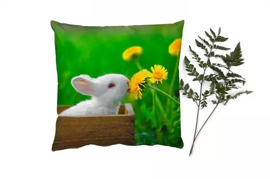 Декоративная подушка MuchoWow Диванная подушка Декоративная подушка для гостиной 60 x 60 см Кролик - Одуванчик - Трава - Чехол на подушку - Хлопчатобумажная ткань - Декоративные наволочки