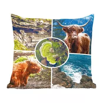 Декоративная подушка MuchoWow, диванная подушка, декоративная подушка для гостиной, 60 х 60 см, шотландский горец - животные - природа - чехол на подушку - хлопчатобумажная ткань - декоративные наволочки