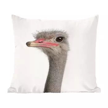 Декоративная подушка MuchoWow, диванная подушка, декоративная подушка для гостиной, 60 х 60 см, животные, портрет, страус, чехол на подушку, хлопчатобумажная ткань, декоративные наволочки