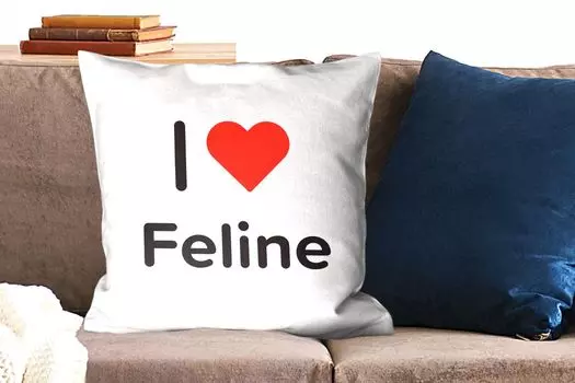 Декоративная подушка MuchoWow, диванная подушка, декоративная подушка для гостиной, 60 x 60 см, I love - Feline - Girl - чехол на подушку - хлопчатобумажная ткань - декоративные наволочки