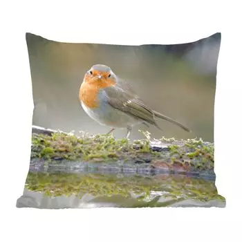 Декоративная подушка MuchoWow, диванная подушка, декоративная подушка для гостиной, 60 х 60 см, малиновка - вода - мох - чехол на подушку - хлопчатобумажная ткань - декоративные наволочки