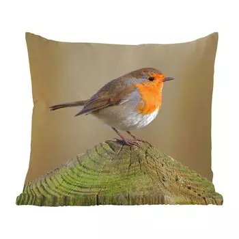 Декоративная подушка MuchoWow, диванная подушка, декоративная подушка для гостиной, 60 х 60 см, птица, малиновка, дерево, чехол на подушку, хлопчатобумажная ткань, декоративные чехлы на подушки