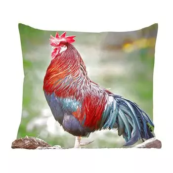 Декоративная подушка MuchoWow Диванная подушка Декоративная подушка для гостиной 45 x 45 см Фотопринт с изображением петуха - Чехлы на подушки - Декоративные чехлы на подушки - Декоративные наволочки