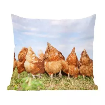 Декоративная подушка MuchoWow, диванная подушка, декоративная подушка для гостиной, 60 х 60 см, цыплята в поле - чехол на подушку - хлопчатобумажная ткань - декоративные наволочки